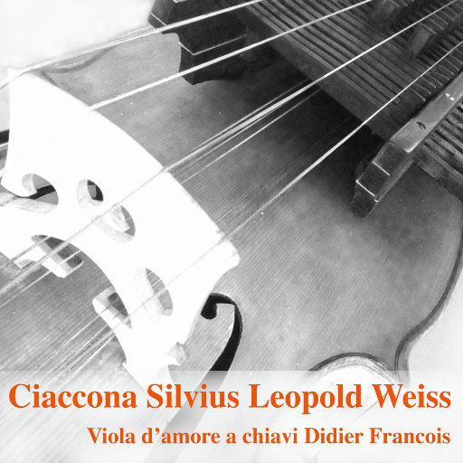 男Gay互摸雞巴巴自慰小说
